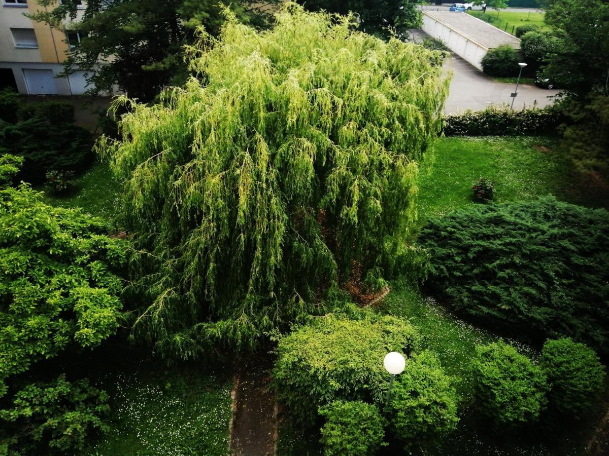 P' Ti Ecrin De Verdure Illzach Exterior photo